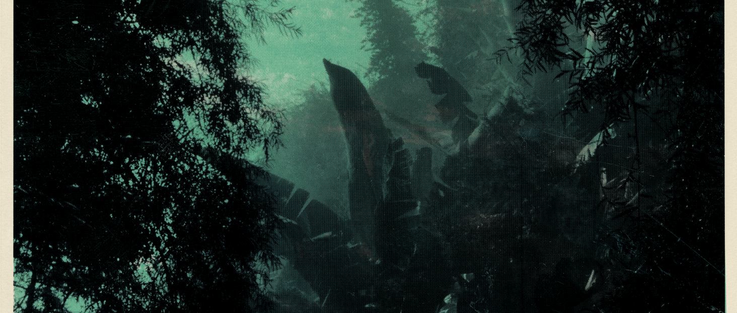 © TerraForma – Courtesy of Silverstand Productions