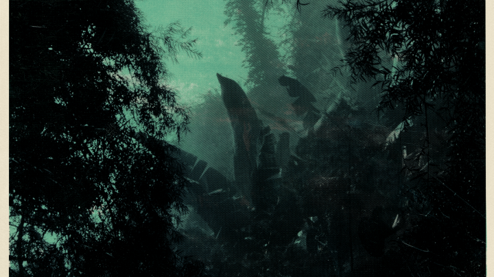 © TerraForma – Courtesy of Silverstand Productions