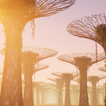 Capture d’écran, Alice Bucknell, Staring at the Sun, 2024-2025 © Alice Bucknell