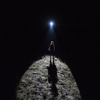 Daems van Remootere, Track Tracy, 2018. Photo : Sander Heezen, 2019. 